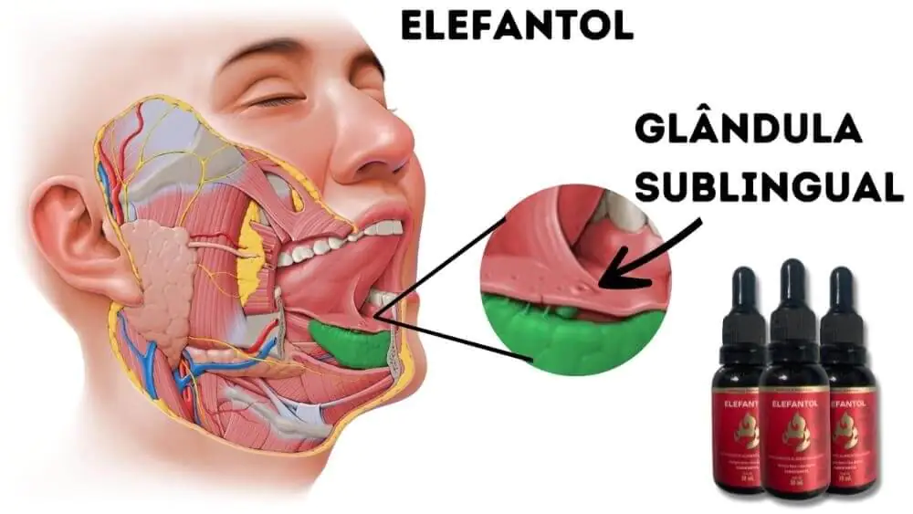 Ilustração da região sublingual com frascos de Elefantol