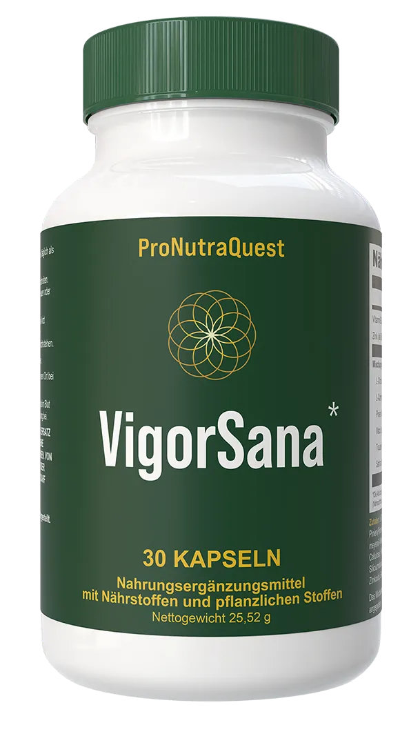 VigorSana Dose mit 30 Kapseln